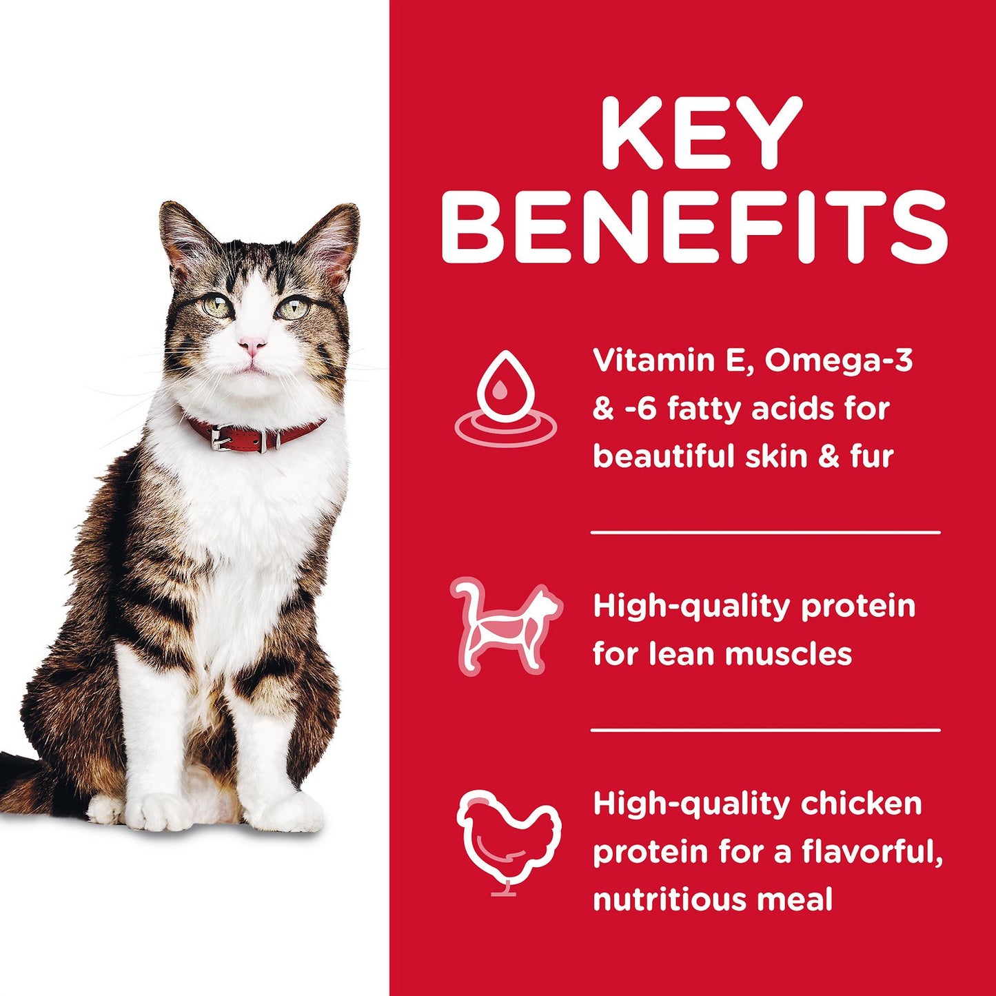 Hill's Science Diet - Hairball Control - Adult - Cat (3.5lbs)