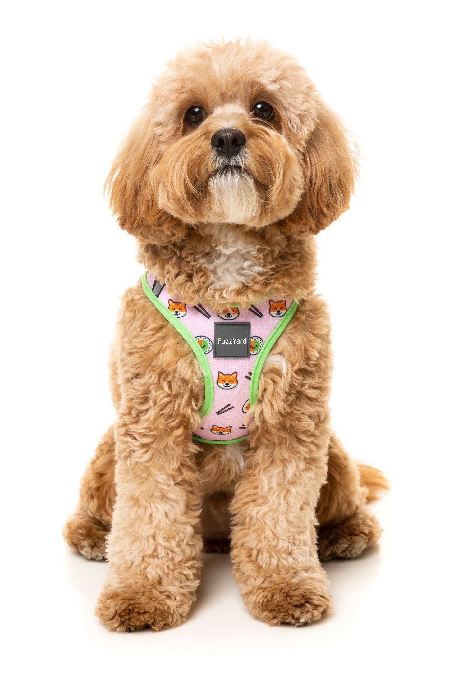 FuzzYard Step-in Dog Harness - SuShiba