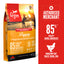 Orijen Dry Dog Food - Puppy