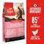 Orjien Dog Dry Food - Small Breed