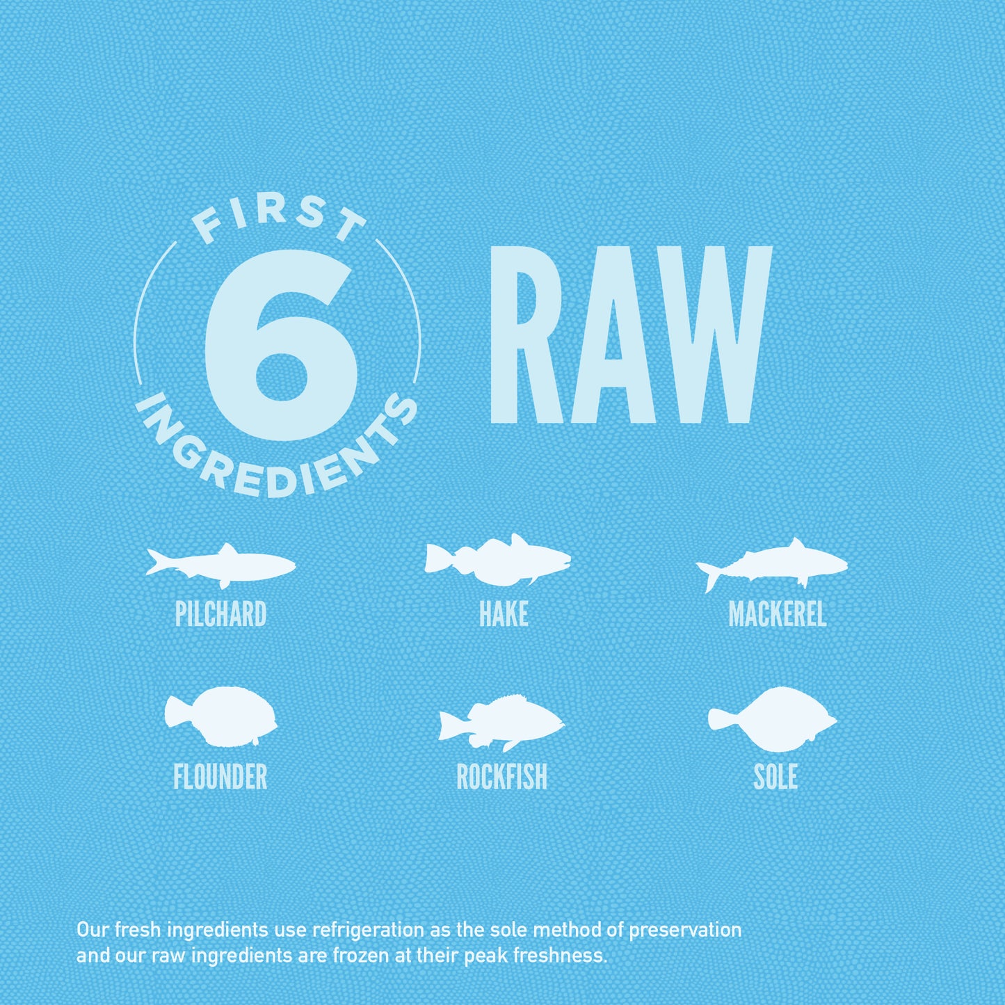 ORIJEN Freeze-Dried Infused Six Fish Cat Recipe