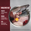 Orjien Dog Dry Food - Small Breed