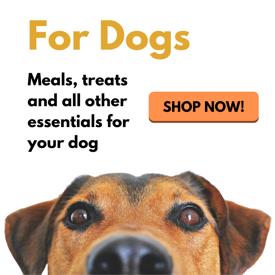 buy dog food, dog treats and dog supplies in Singapore