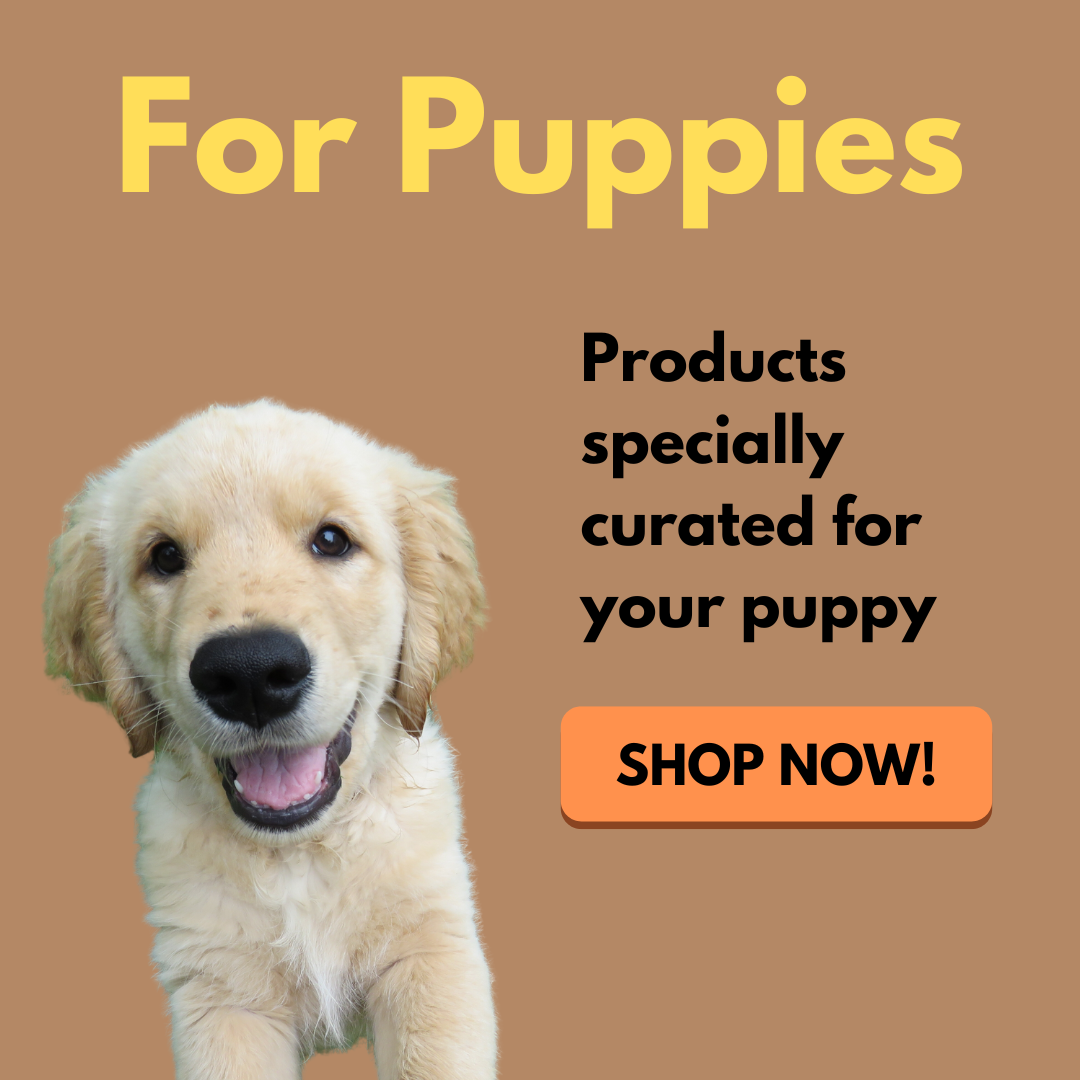 buy puppy food, puppy treats, puppy supplies in Singapore