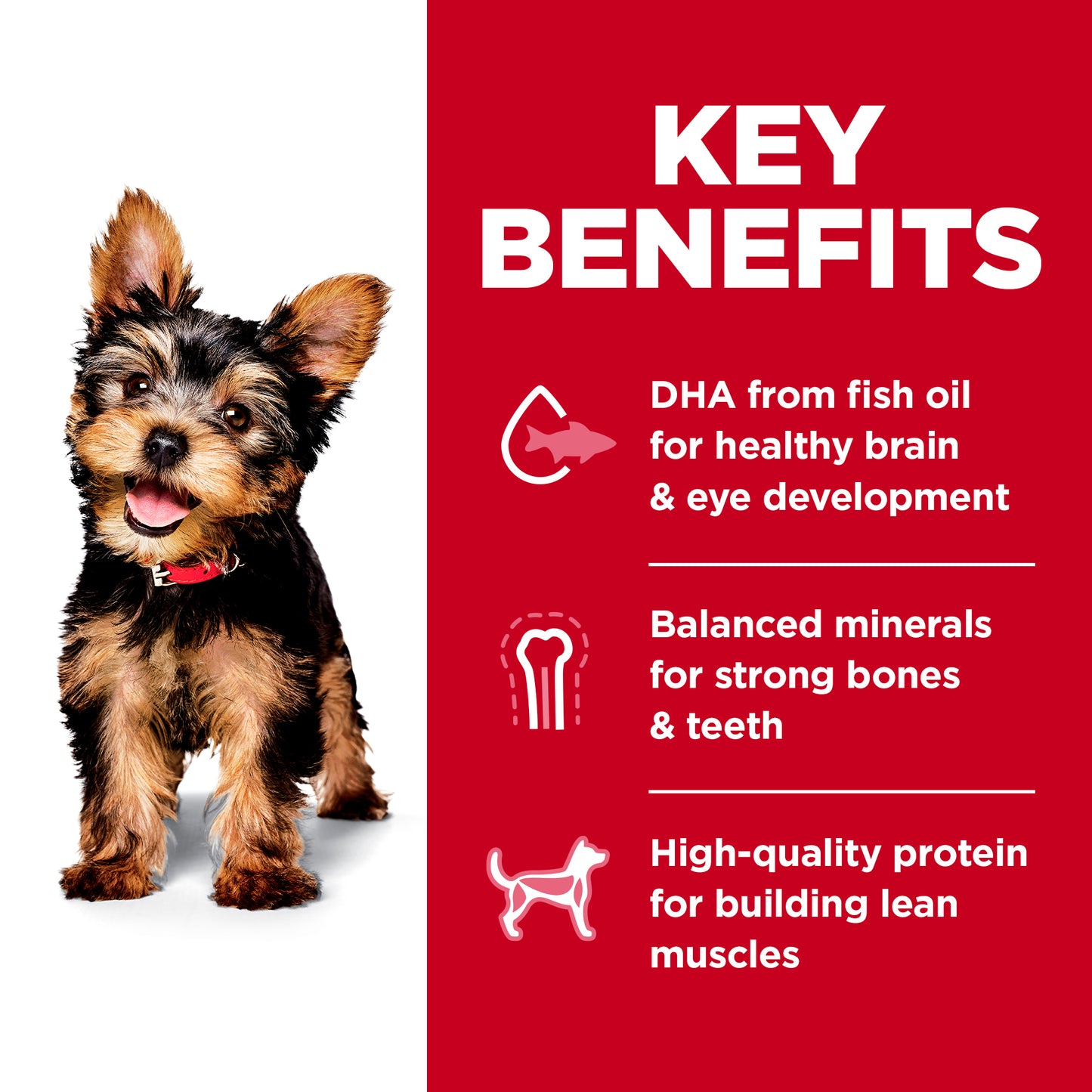 Hill's Science Diet - Small & Mini Puppy