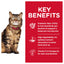 Hill's Science Diet - Sensitive Stomach & Skin - Adult Cats