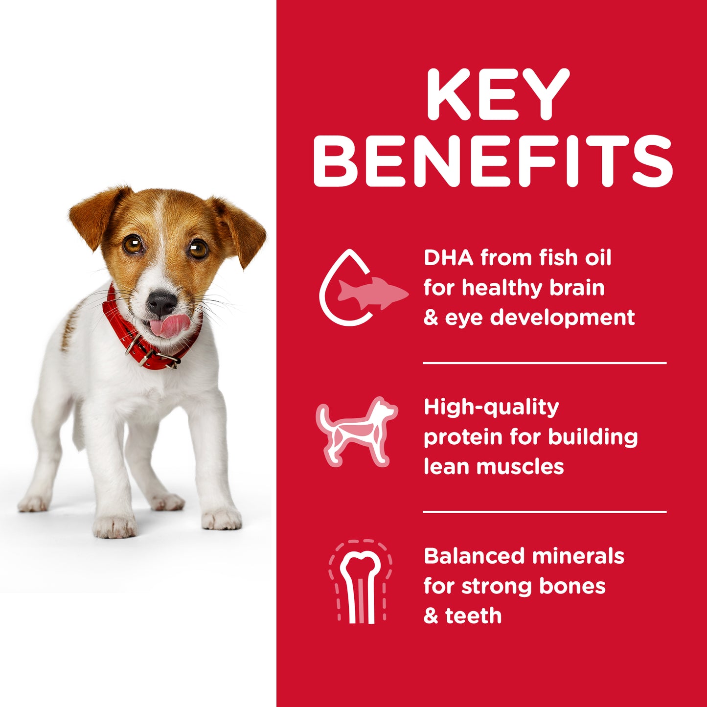 Hill's Science Diet - Puppy Small Bites - Lamb Meal & Brown Rice