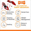 Nylabone Moderate Flexi Dental Chew - Regular