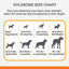 Nylabone Moderate Flexi Dental Chew - Regular