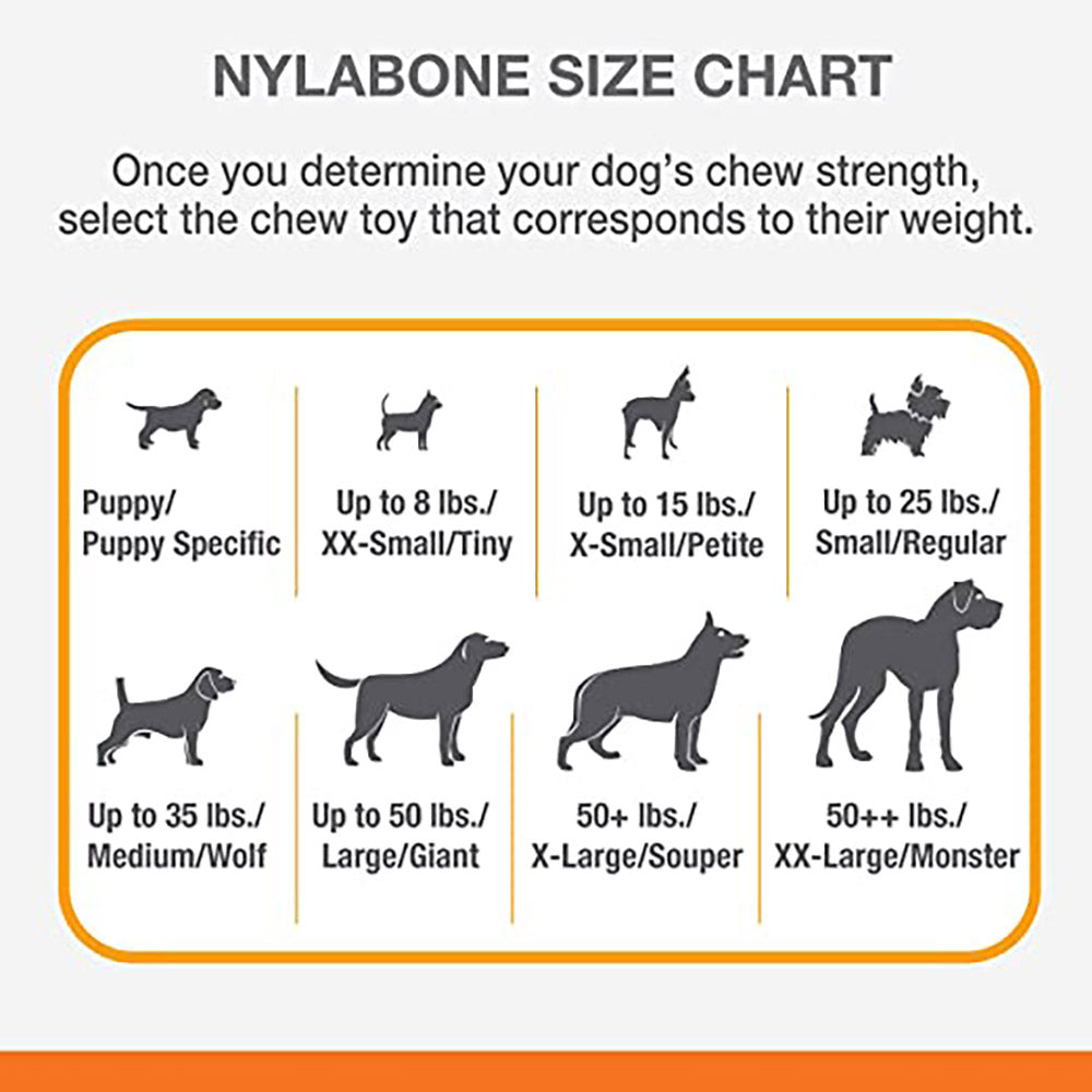 Nylabone Moderate Flexi Dental Chew - Regular