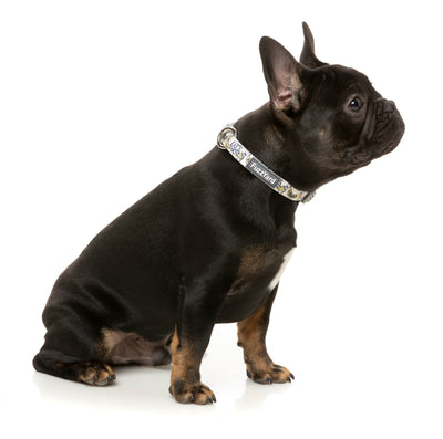 Fuzzyard Pet Collar - Go Bananas