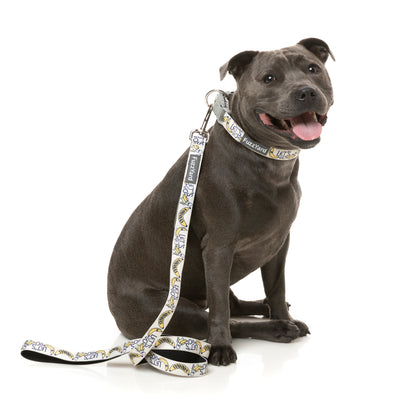 Fuzzyard Dog Leash - Go Bananas