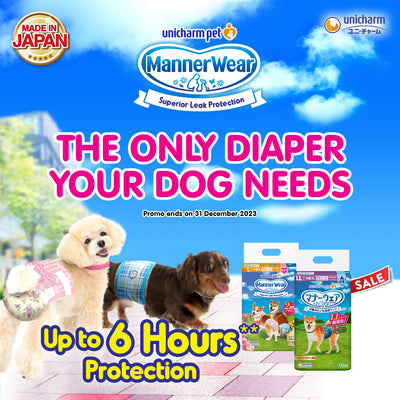 Unicharm Manner Wear Dog Band Medium 40cm-45cm waist (42pc) (Male)