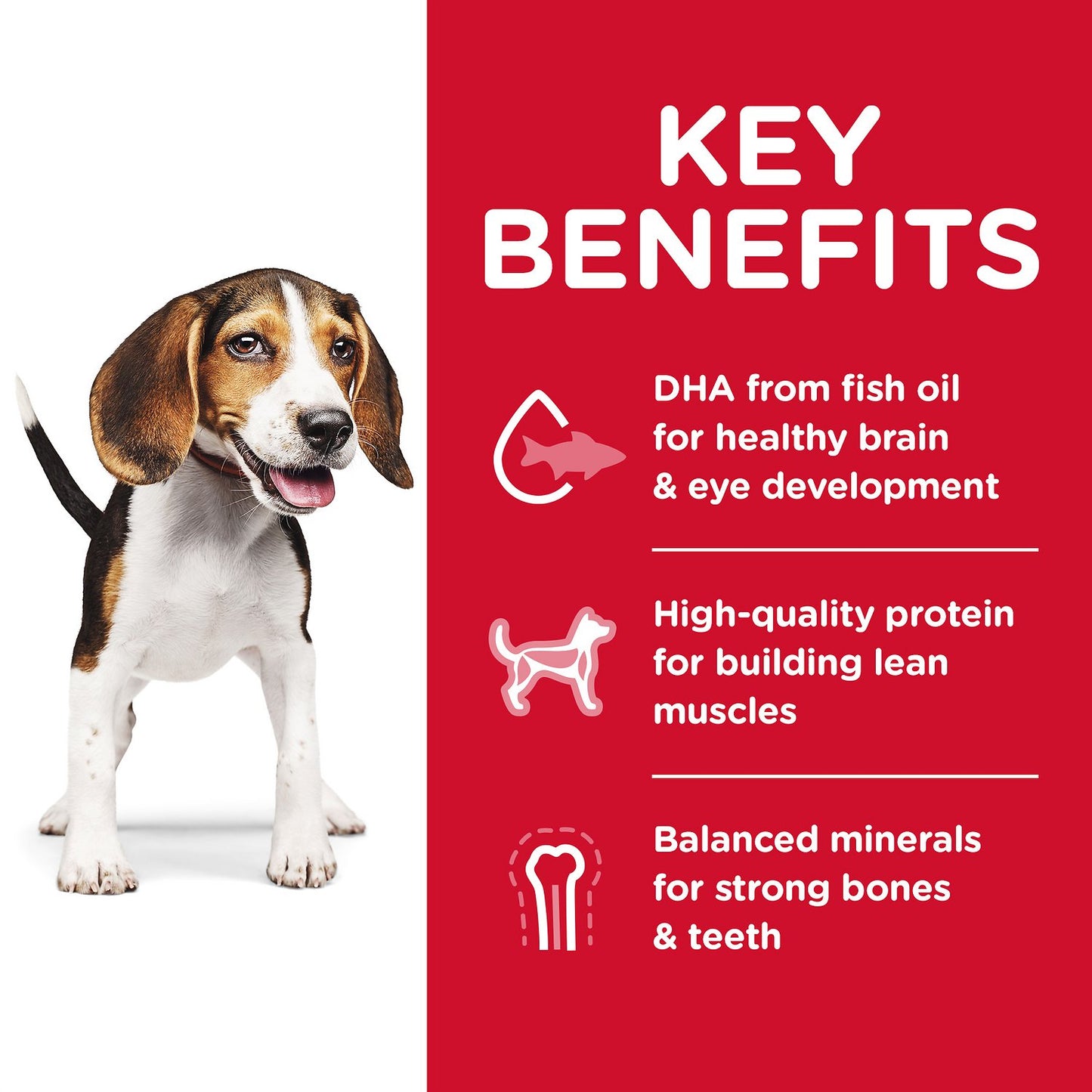 Hill's Science Diet - Puppy (Free Humidifier with 15kg pack)