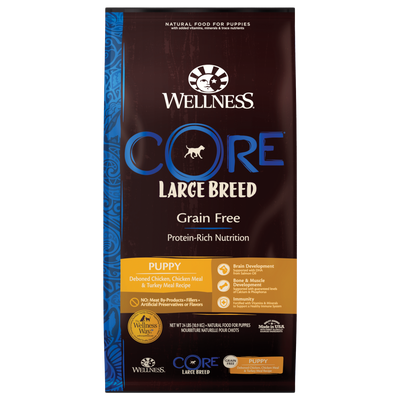 Wellness CORE Grain-Free Large Breed Puppy Dry Dog Food (24lb)